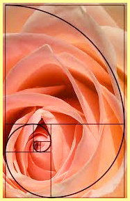 золотое сечение #3