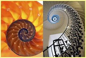 золотое сечение #1