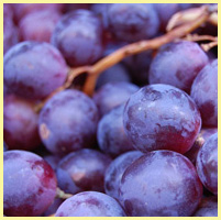 фиолетовый - виноград