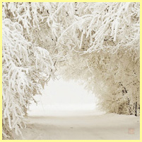 белый - снег